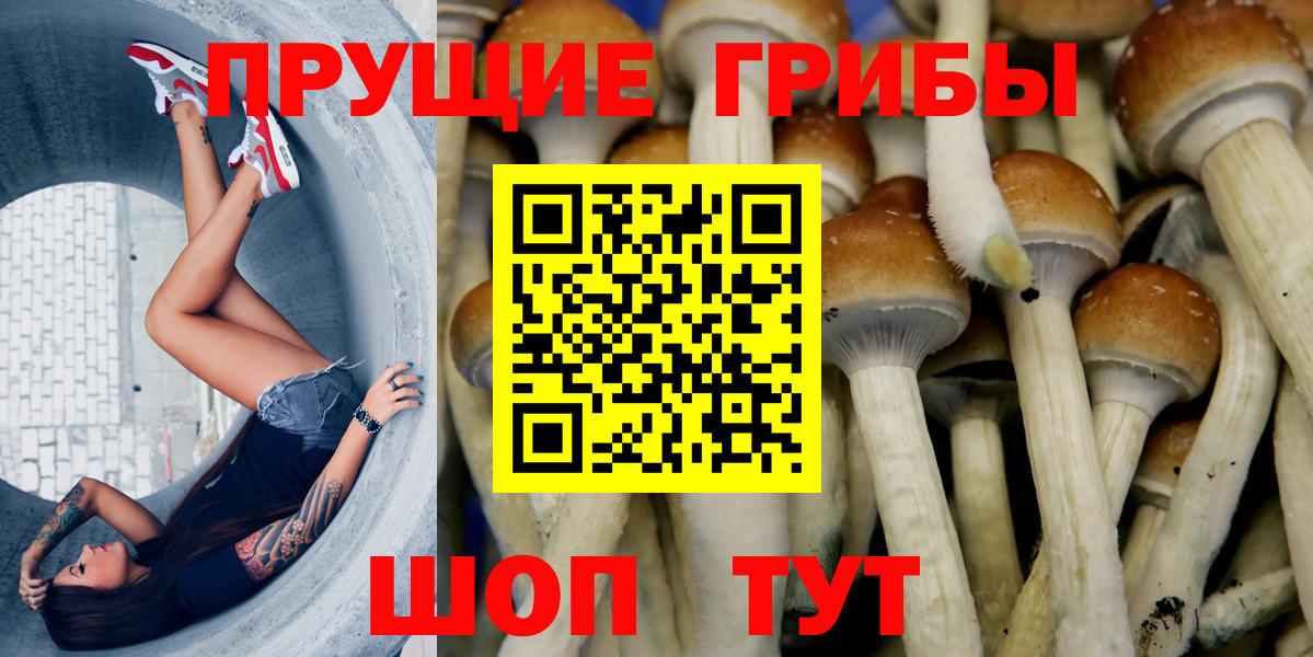 Псилоцибиновые грибы мицелий Екатеринбург