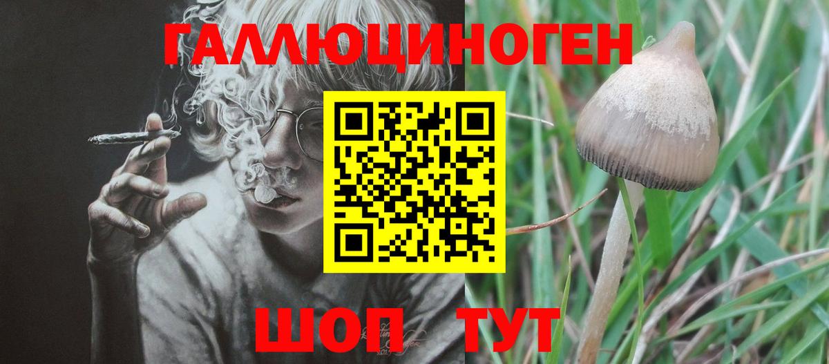 Галлюциногенные грибы мицелий  Вход с VPN  где купить наркотик  Екатеринбург  Галлюциногенные грибы мухоморы 